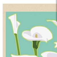 Calla Lily by Jake Early