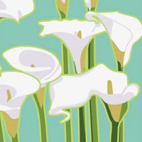 Calla Lily by Jake Early