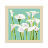 Calla Lily by Jake Early