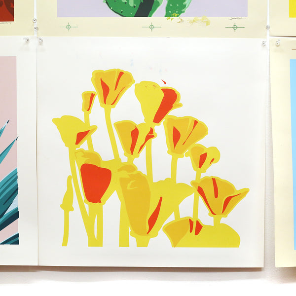 Imperfect California Poppies Print by Jake Early