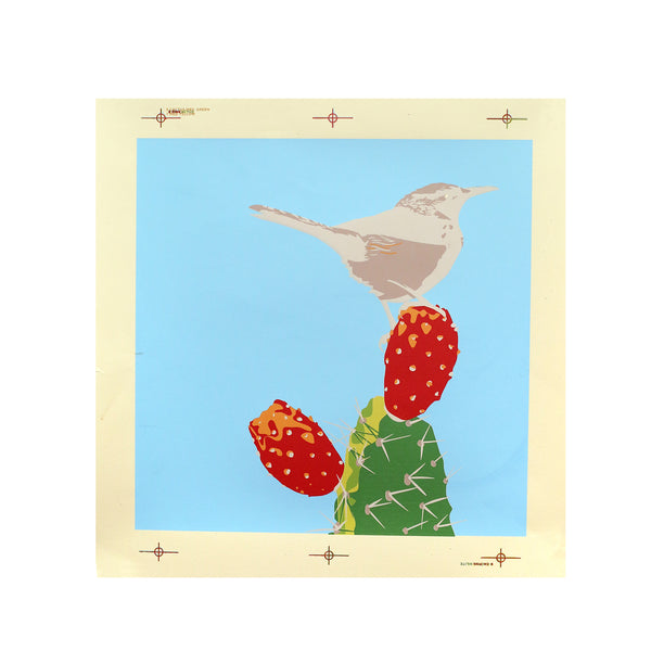 Imperfect Cactus Wren Print by Jake Early