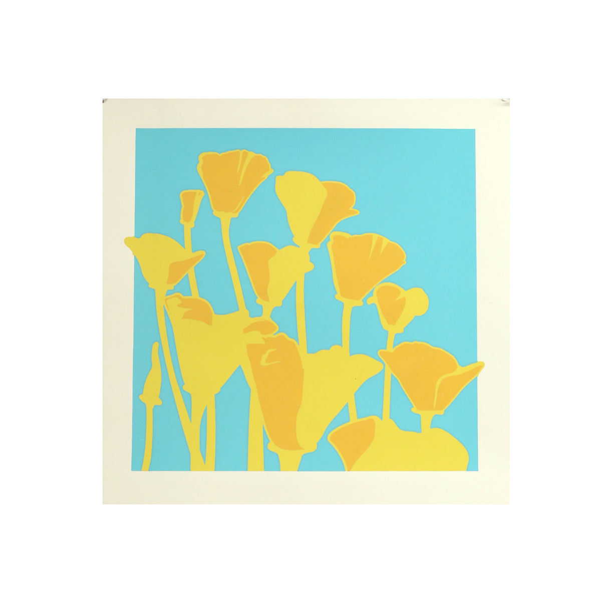 Imperfect California Poppies Print by Jake Early