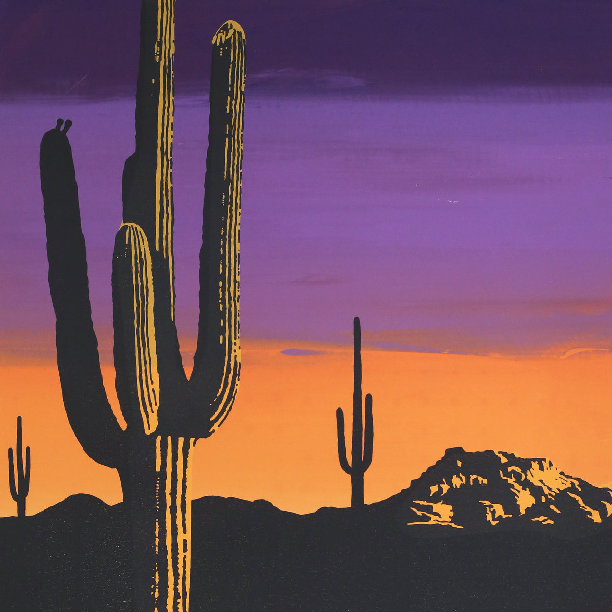 Sonoran Sunset by Jake Early
