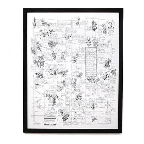 cactus karte Phoenix Cactus Map by Jen Urso – Practical Art