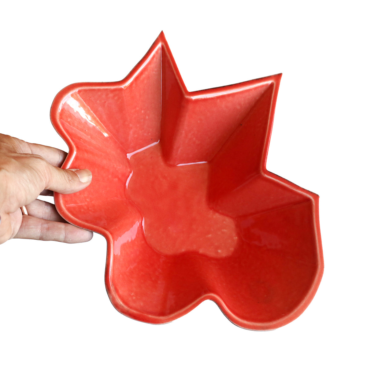Star-Cloud Bowl by Jorge Hernandez Chacon