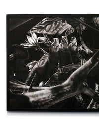Nails and Vines by Kara Brooks