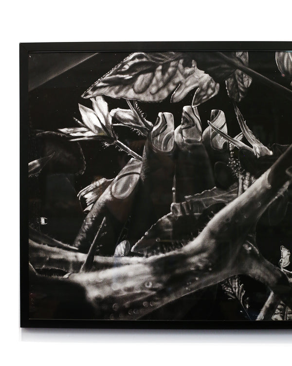 Nails and Vines by Kara Brooks