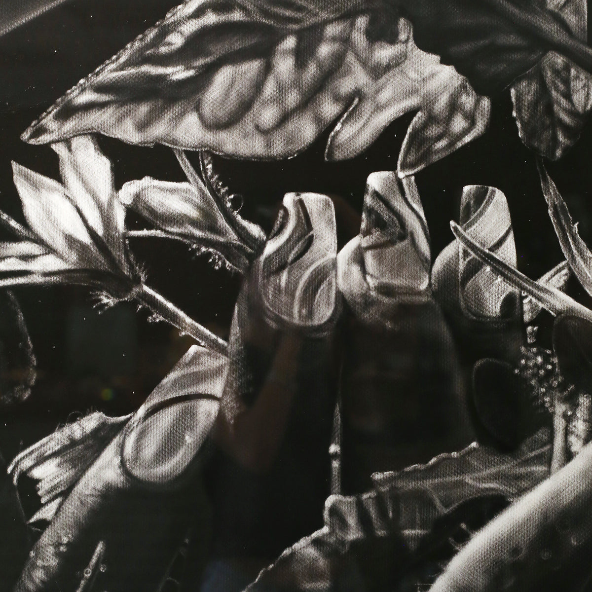 Nails and Vines by Kara Brooks