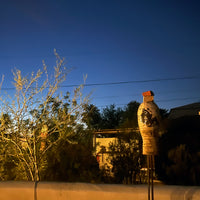 Standing Sculptures by Patricia Sannit