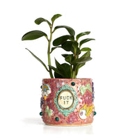 'Fuck It' Planter by Karla Medina
