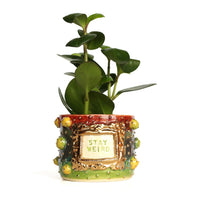 'Stay Weird' Planter by Karla Medina