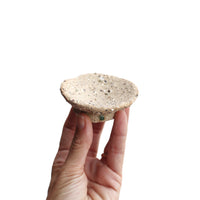 Ring Dish by Kendall Traylor