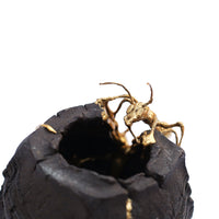 Kintsugi Collaboration by Jackie Brink and Brad Towsley