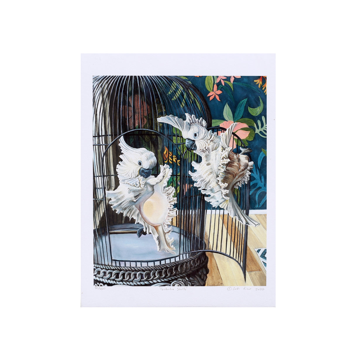 "Cockatoo Shells" Print by Leah Kiser