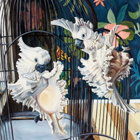 "Cockatoo Shells" Print by Leah Kiser