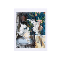 "Cockatoo Shells" Print by Leah Kiser