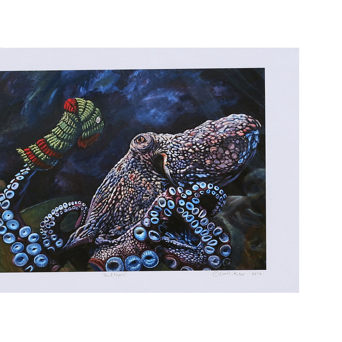 "Socktopus" Print by Leah Kiser