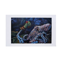 "Socktopus" Print by Leah Kiser