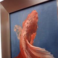 Orange Lace Fish by Leah Kiser
