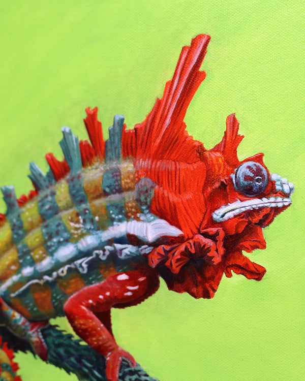 Shellmeleon by Leah Kiser