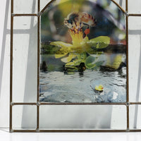 Window no. 5 by Lisa Olson
