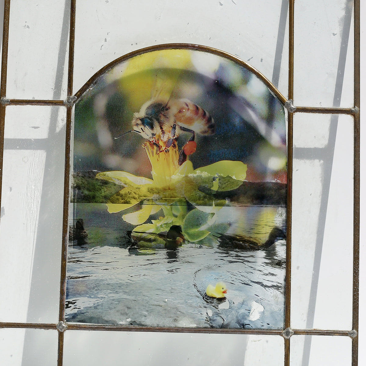 Window no. 5 by Lisa Olson