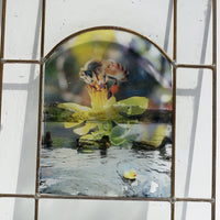 Window no. 5 by Lisa Olson