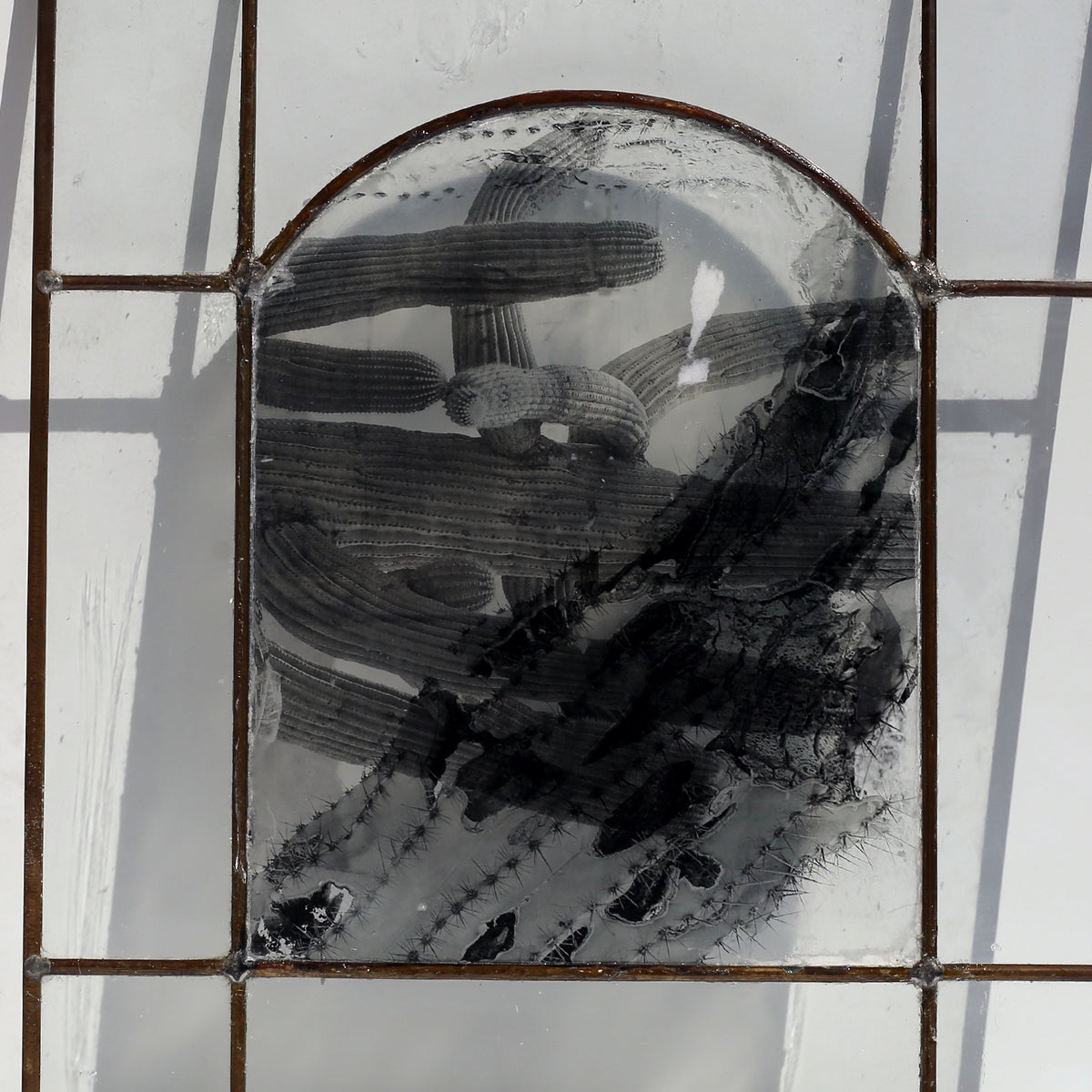 Window no. 1 by Lisa Olson