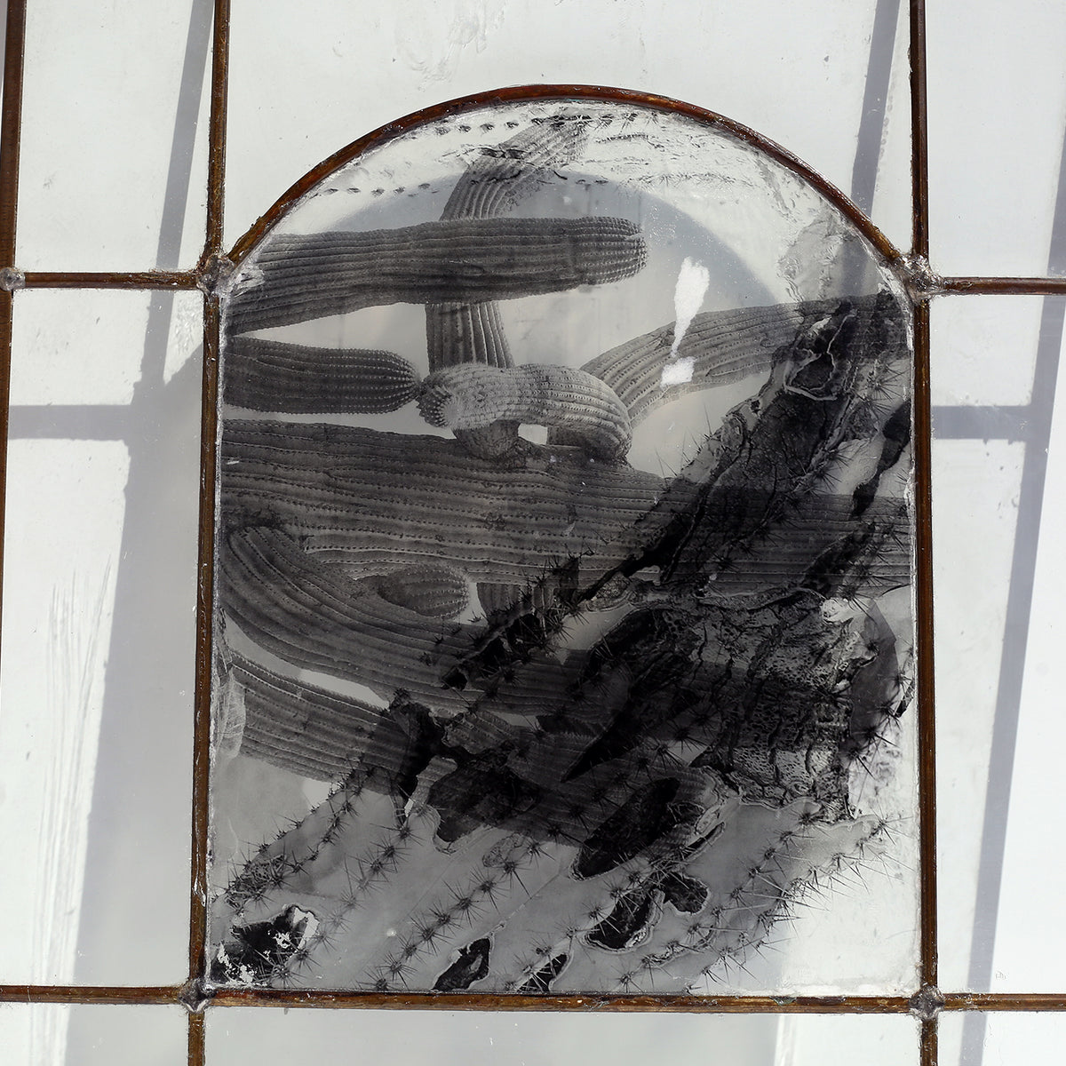 Window no. 1 by Lisa Olson