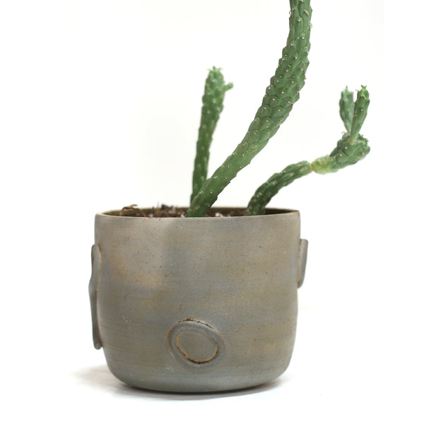 Planter by Liza Stout