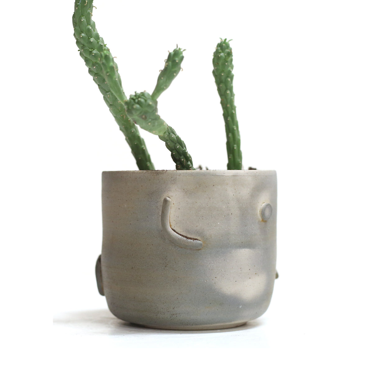Planter by Liza Stout
