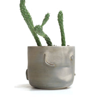 Planter by Liza Stout