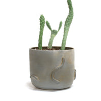 Planter by Liza Stout