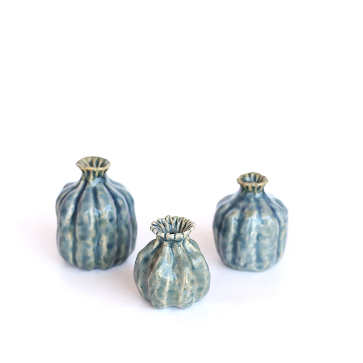Poppy Husk Vase by Magda Gluszek
