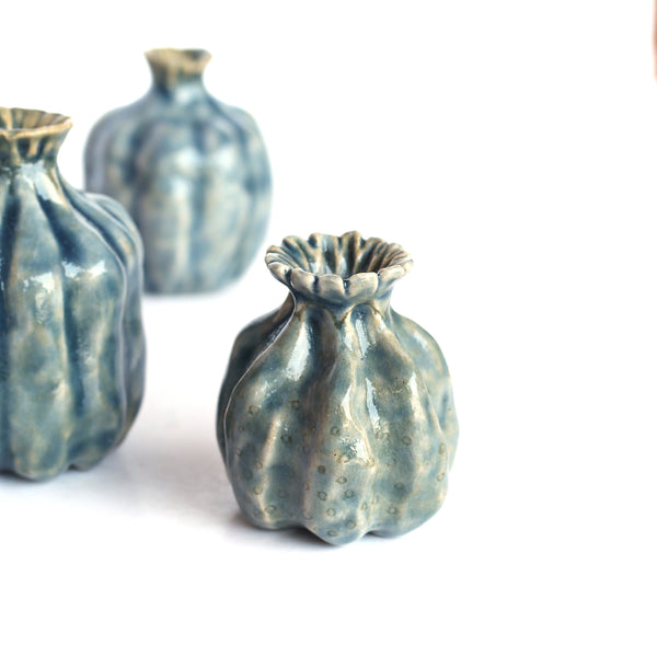 Poppy Husk Vase by Magda Gluszek
