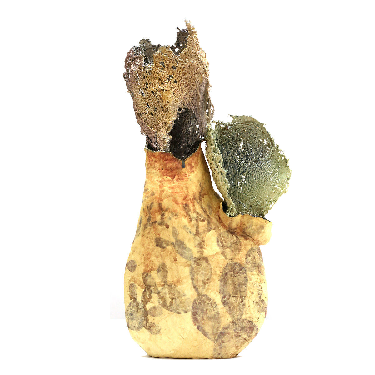 Cactus Melt I by Magda Gluszek