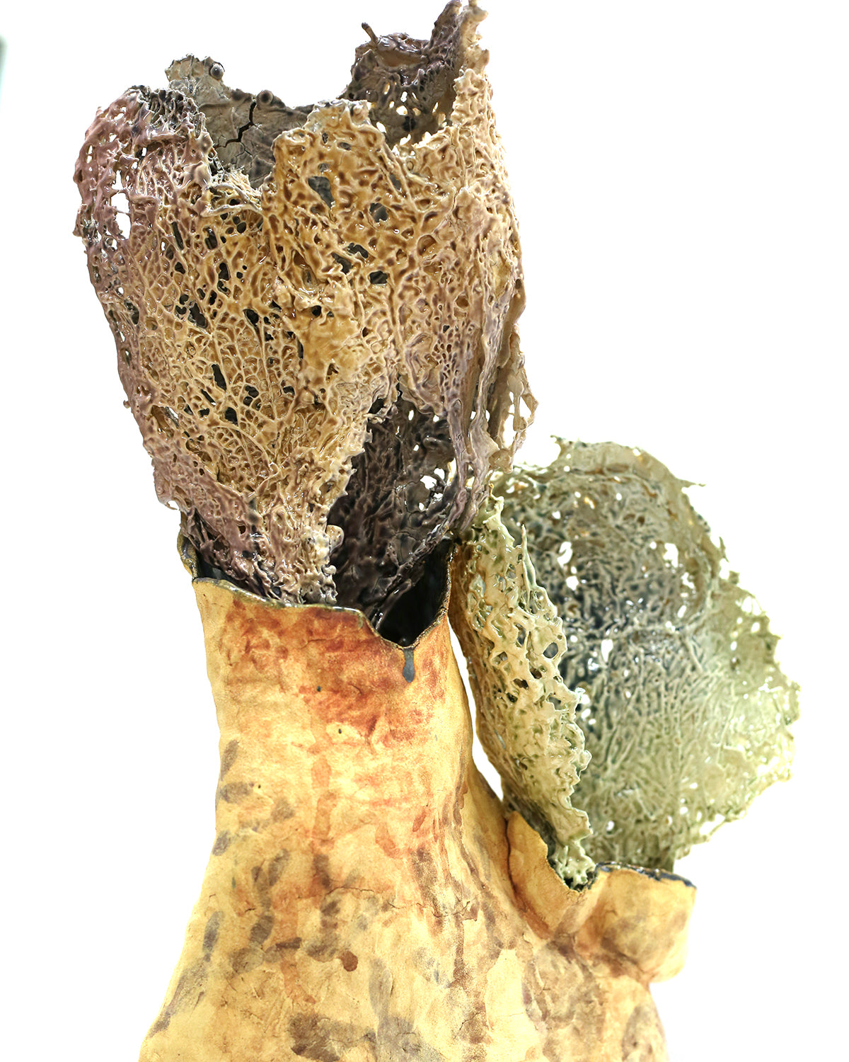 Cactus Melt I by Magda Gluszek