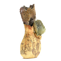 Cactus Melt I by Magda Gluszek