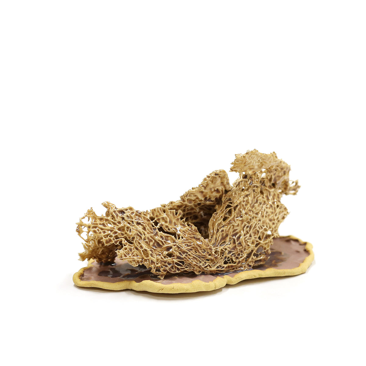 Cactus Melt IV by Magda Gluszek