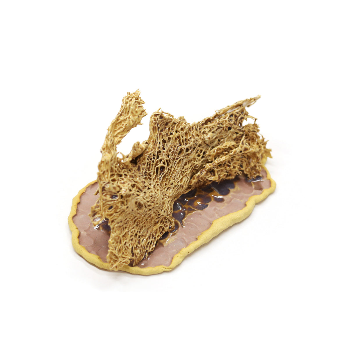 Cactus Melt IV by Magda Gluszek