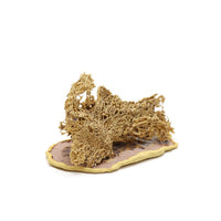 Cactus Melt IV by Magda Gluszek