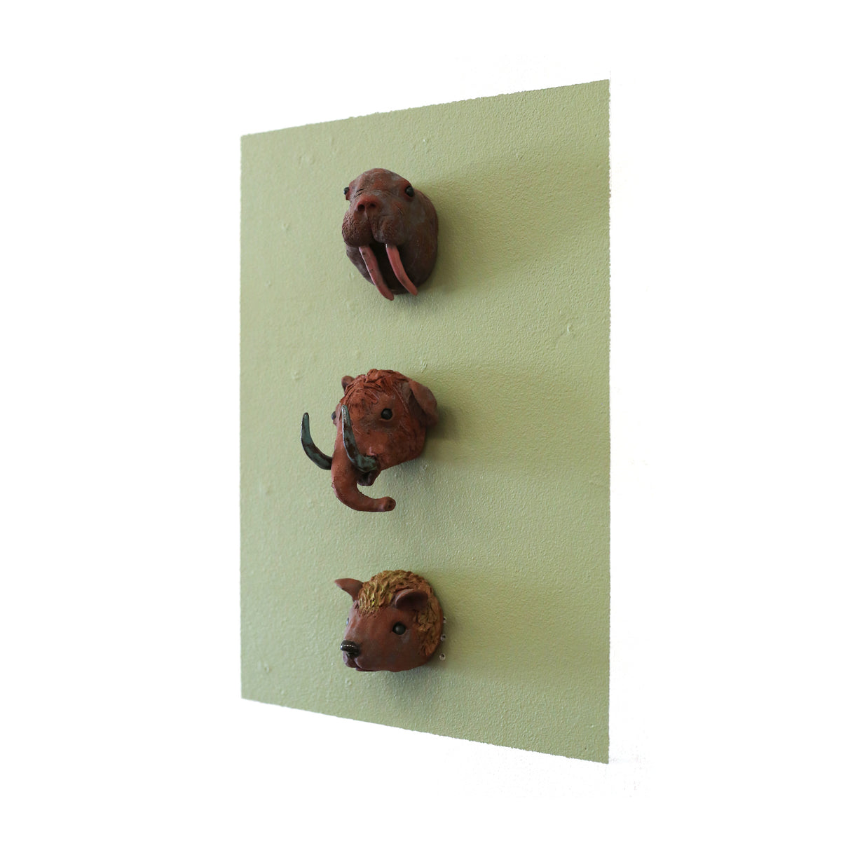 Sillies by Magda Gluszek