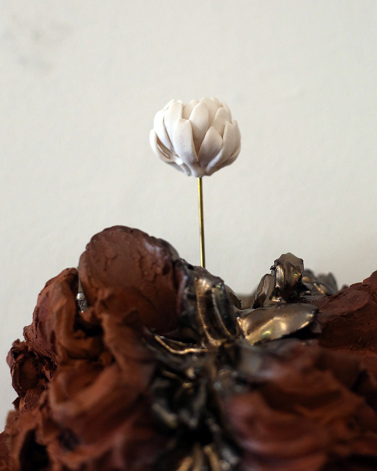 The Fern Flower by Magda Gluszek