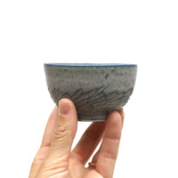 Lil Bowls by C. Marcus McCarty