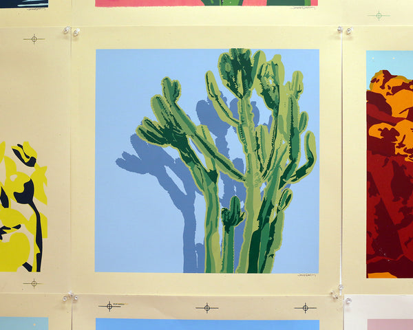 Imperfect Senita Print by Jake Early