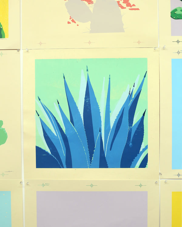 Imperfect 11 Point Agave Print by Jake Early
