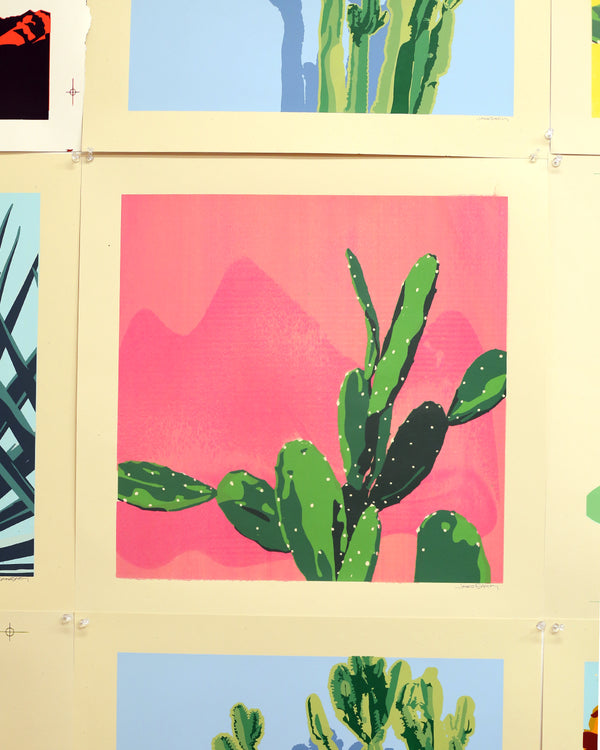 Imperfect Barbary Fig Print by Jake Early