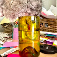 Wine Bottle Glassware - 16oz Glasses