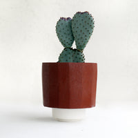 Planter by Ryan Takaba