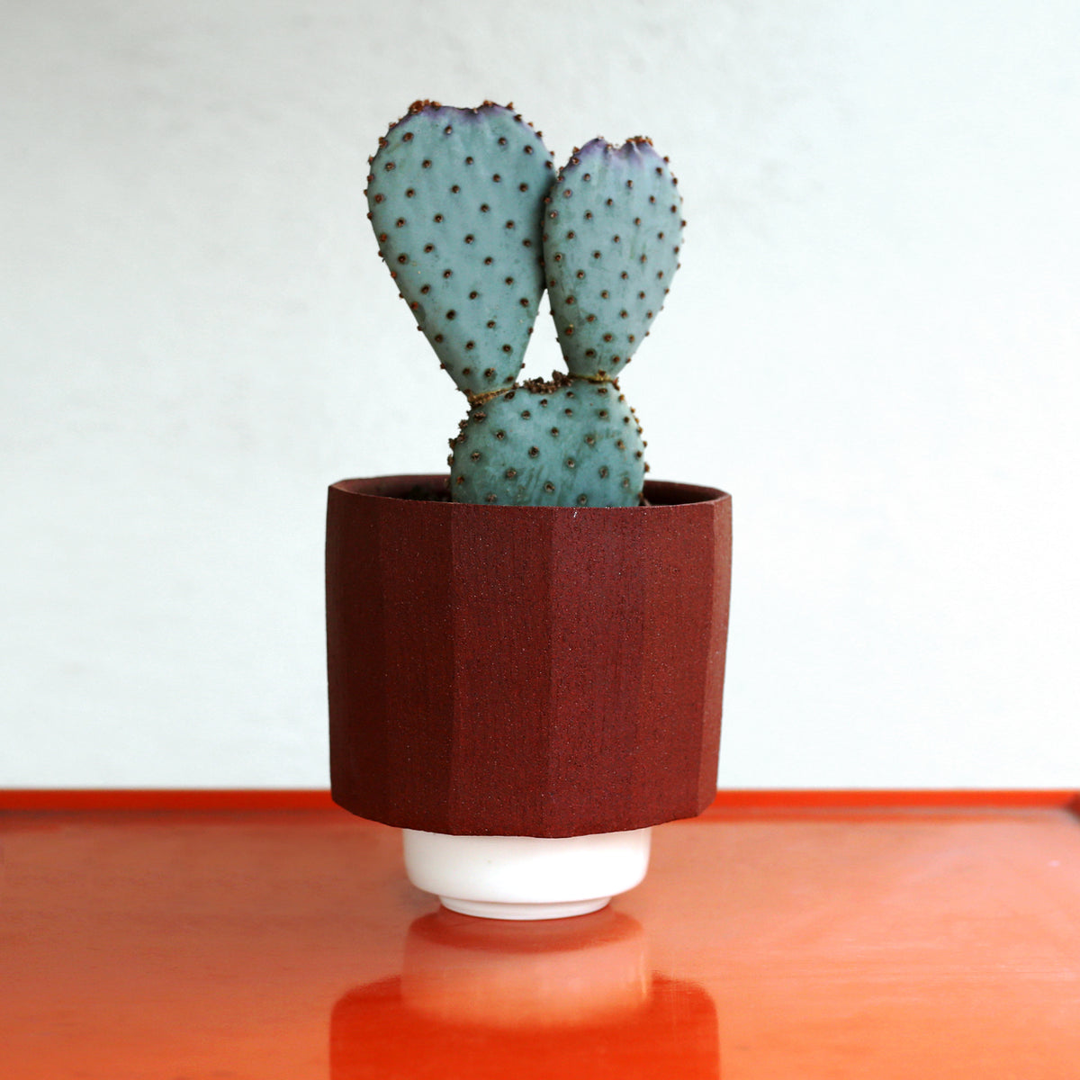 Planter by Ryan Takaba